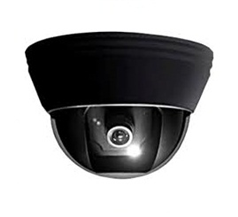 Camera bán cầu