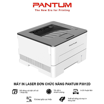 Máy in Laser đen trắng Pantum P3012D (A4 | In đảo mặt | USB)